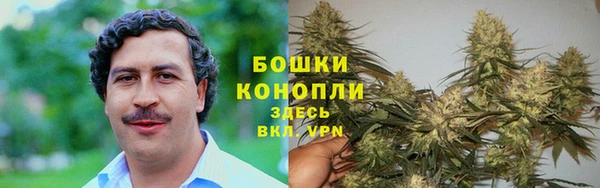 молекула духа Бугульма