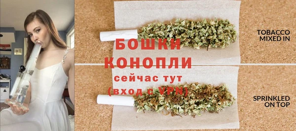 молекула духа Бугульма