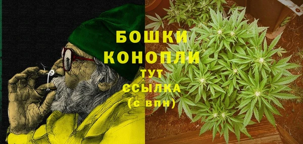 молекула духа Бугульма