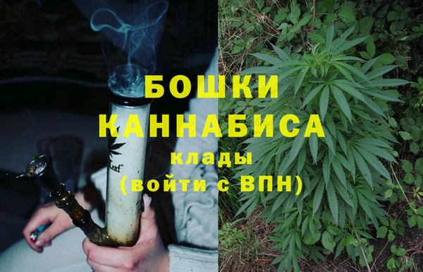 молекула духа Бугульма