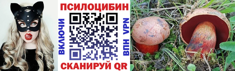 где продают   Новодвинск  Псилоцибиновые грибы прущие грибы 
